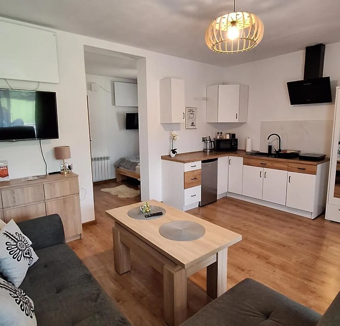 Apartament Na Brzyzku زاكوباني